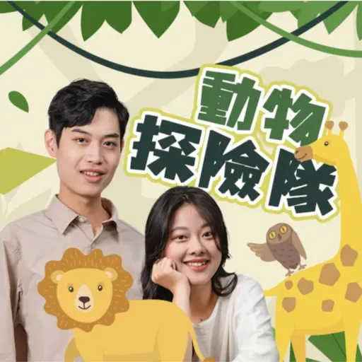 EP89｜「小偷熊貓」是熊貓？還是小偷？都不是，是浣熊喔！