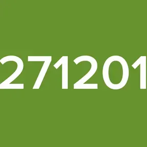 271201