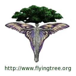 Flying Tree Radio