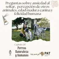 Preguntas sobre ansiedad al soltar,  percepción de otros animales, edad madura canina y felicidad humana