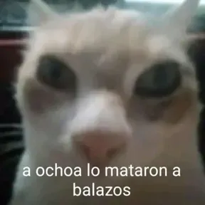 Banchile