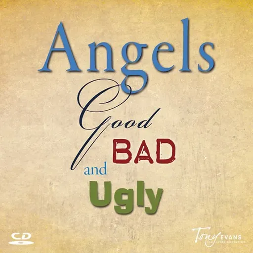 The Existence of Angels