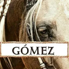 El buenote