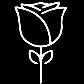 Flower Radio