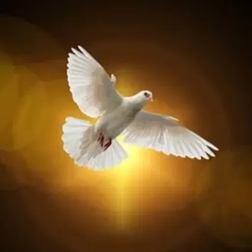 9º dia da Novena ao Espirito Santo - O Dom da Piedade