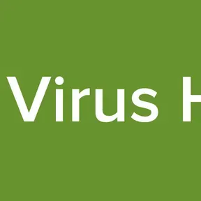 Mental Virus Hip-hop