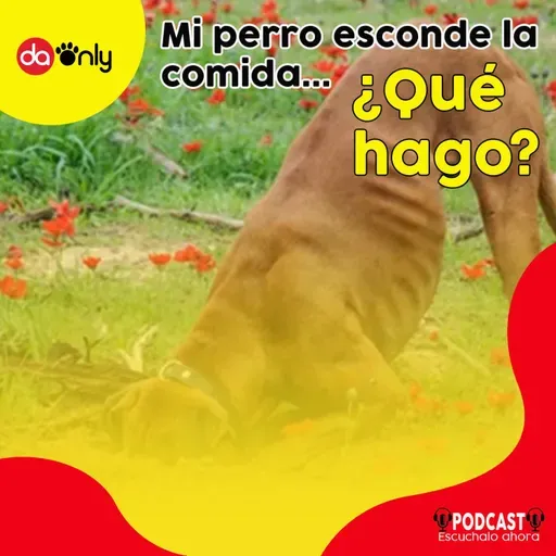 Episodio 126: Mi perro esconde la comida