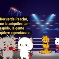 Diferencias entre un Gimnasio de box publico