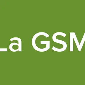 La GSM