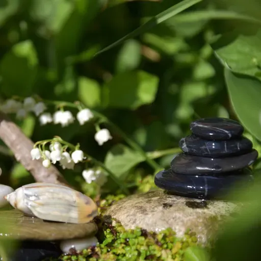 Equilibrio vital: salud, dinero y amor en balance S9 E313