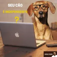 Seu cão é independente?