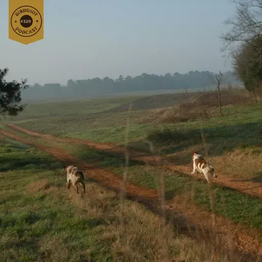 #329 | A discussion on started dogs, training, bird hunting and more with Mark Dinsmore