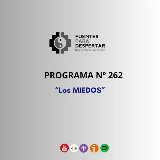 Programa Nro 262 de Puentes para Despertar, "Los Miedos"