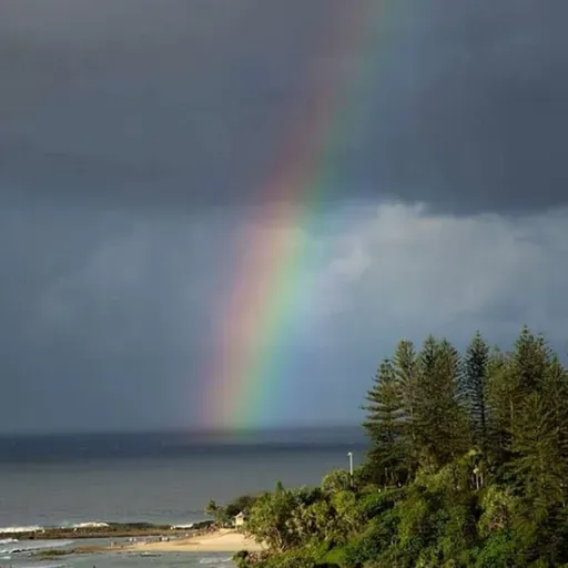 Why Harry’s mum didn’t visit his grave. (Channeling and mediumship )