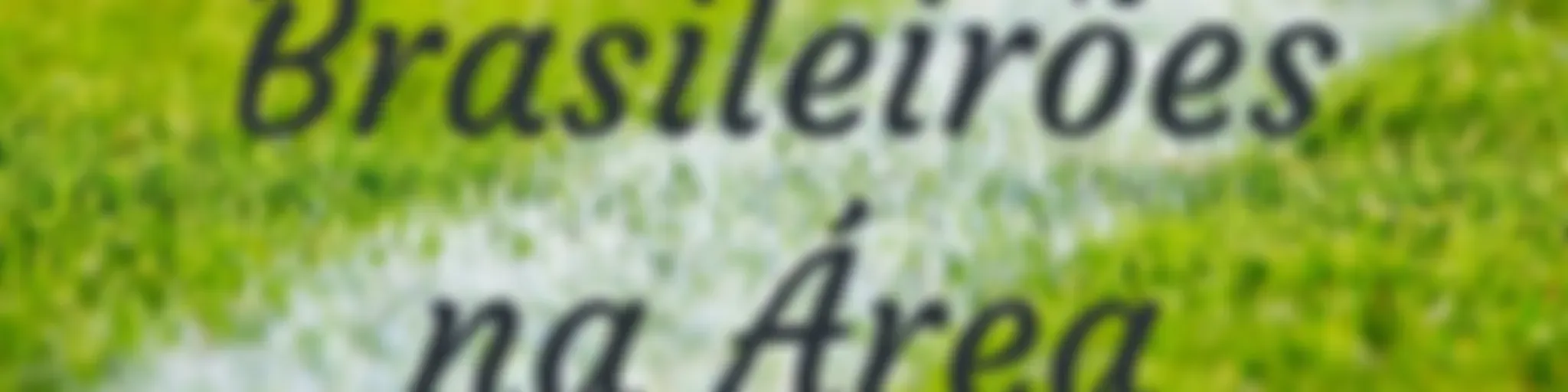 Brasileirões na Área