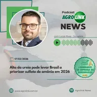 Produtores de tomate entram em alerta para avanço da larva-alfinete