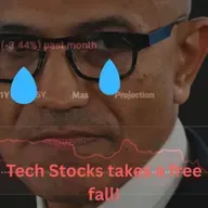 Tech Stocks in Free Fall,... Never keep your eggs in one basket!