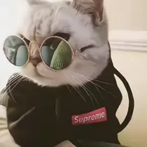 Yo hablo