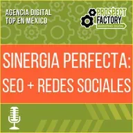 Sinergia perfecta: SEO + Redes Sociales