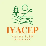 Enerji Kooperatifleri Gereksinimine Toplumsal Cinsiyet Perspektifinden Bakmak