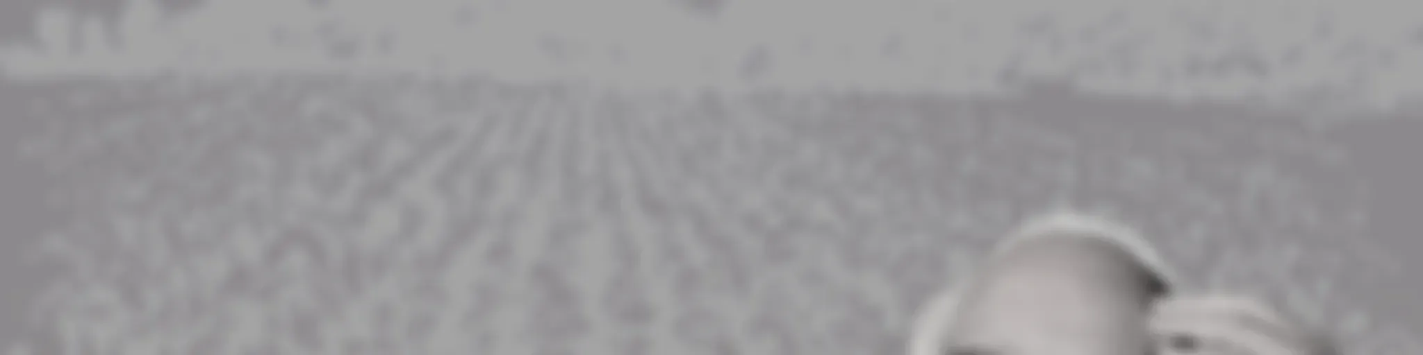 The Kosher Terroir