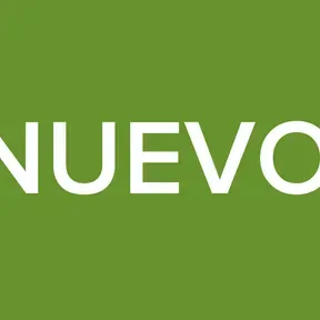 EL DEL NUEVO ESTILO