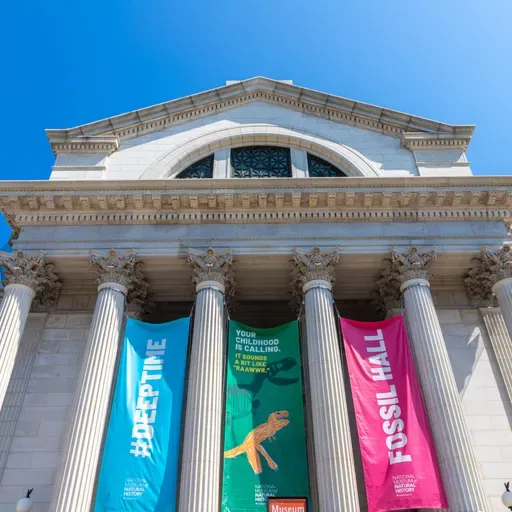 Don’t Let Scientific Elites Settle the Question of Design in Nature For You.