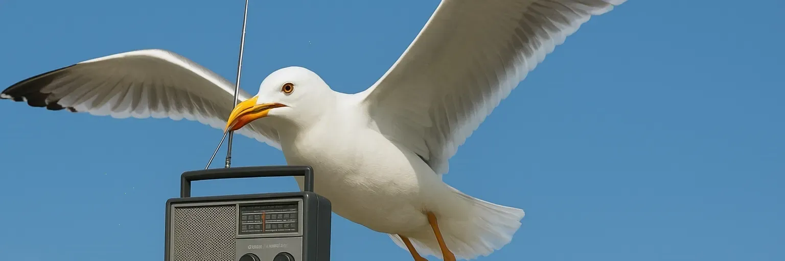 Radio Sistema FM Curitiba