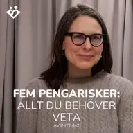 442. Fem pengarisker alla har att hantera | Allt du behöver veta om risk 2026
