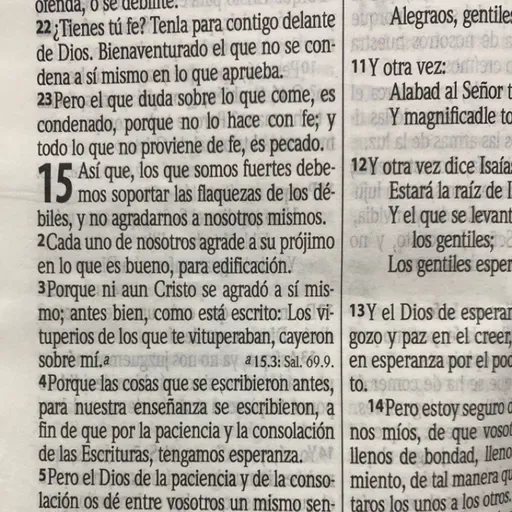 Romanos Capítulo 15