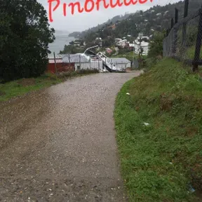 Pinohuacho