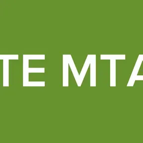 WHITE MTA 2.0