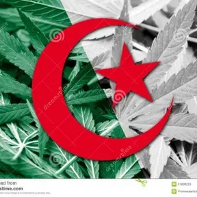 Hashish
