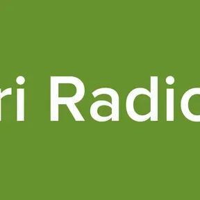 Fri Radios