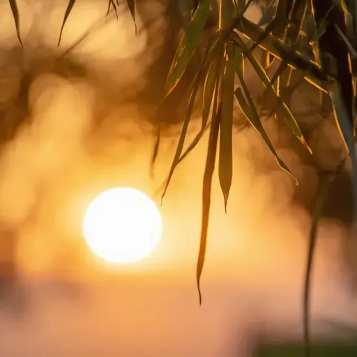 林清玄:人生的真相