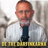 Är Sveriges radio infiltrerat av PLO?
