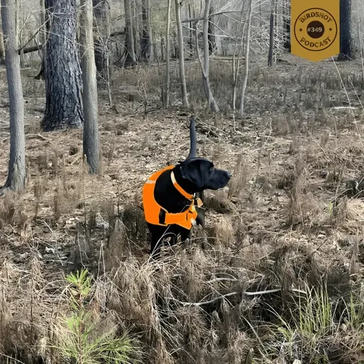 #349 | Southern Bird Hunting: Woodcock, Rails, and the Traditions That Shape It with Patrick Hunter