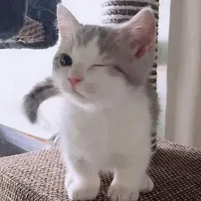 its oliver