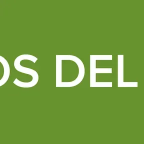 exitos paleta