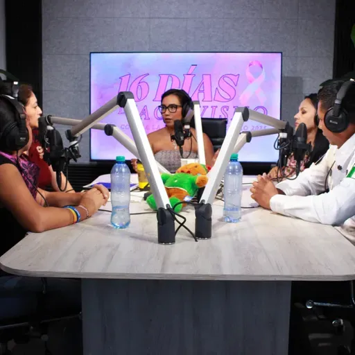 Especial 16 Días de Activismo - Violencia Digital y Mediática