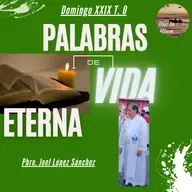 T.4 Ep. 18. Palabras de Vida Eterna. El hijo del hombre.