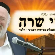 פרשת חיי שרה תשפ"ו - הרב ברוך רוזנבלום בשיעור מרתק על שידוכים במגזר החרדי - מבקשי ה' אלעד