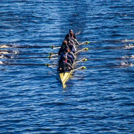 Brookline native leads Bucknell University's women's rowing at the Head of the Charles