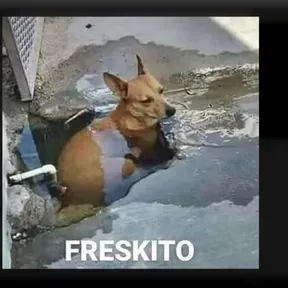 el_Argento_Soria