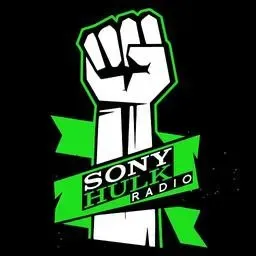 SONY HULK RADIO