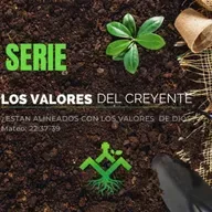 3 PRACTICANDO LOS VALORES