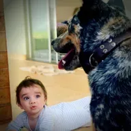 #58 - O mito da socialização e as vantagens de ensinar seus filhos