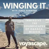 IMMERSIVE - The Soundscapes of Oaxaca, Mexico - Colourful Streets, The Zocalo, Busy Markets + A Local Food Tour