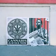 Drug Legalization by José Amador
