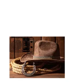 Web rádio Fazenda sertaneja